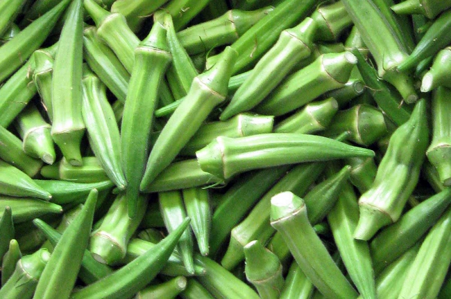 البامية