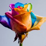 الزهور ل 8 مارس: باقات رسمت الأصلي