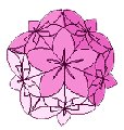 كوسوداما كوسوداما