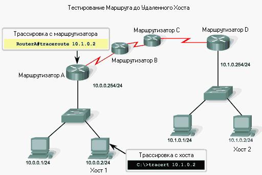 كيفية اختبار بينغس؟