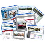 كم عدد المواقع عبر الإنترنت؟