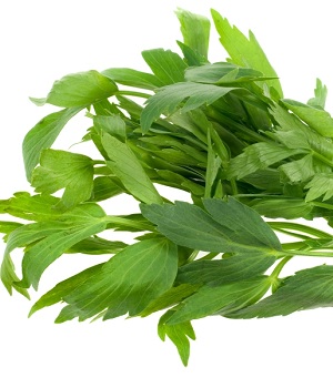 تسريب الحب