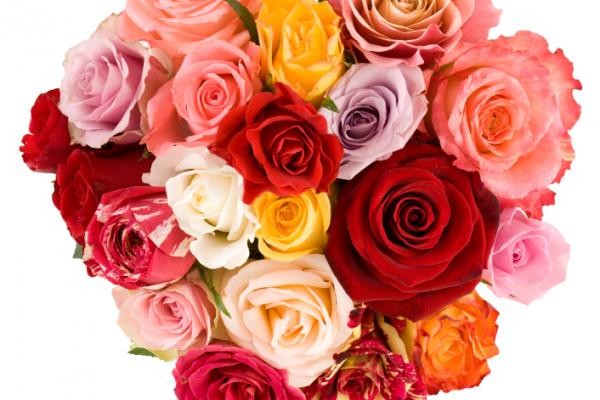 عيد الحب 2016: الهدايا الأصلية وأفضل تحيات في الآية