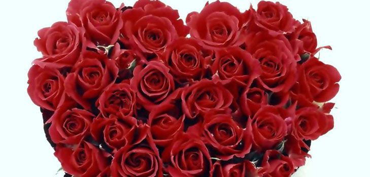 كيفية تهنئة فتاة في عيد الحب: أفضل الطرق