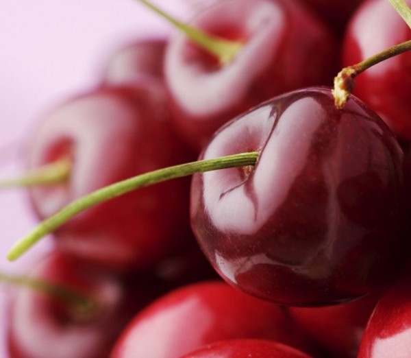 النبيذ الكرز محلية الصنع، وصفة بسيطة مع الفودكا، دون الخميرة. كيفية جعل النبيذ الكرز في المنزل مع القفازات