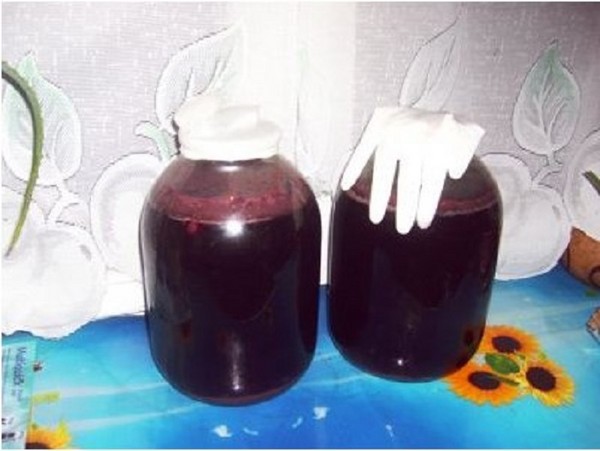 النبيذ الكرز محلية الصنع، وصفة بسيطة مع الفودكا، دون الخميرة. كيفية جعل النبيذ الكرز في المنزل مع القفازات
