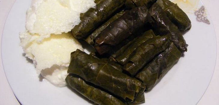 كيفية طهي دولما في المنزل كيفية طهي دولما في المنزل