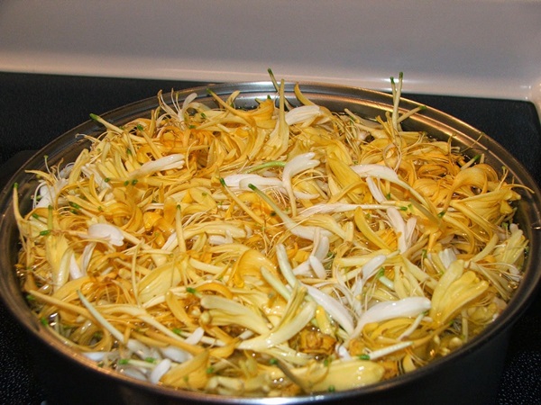 زهر العسل المربى