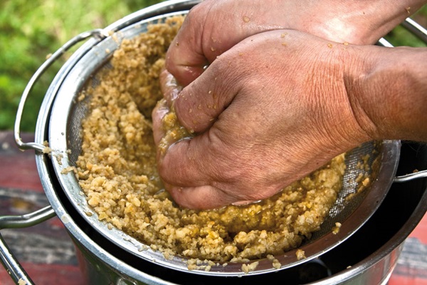 خمر، الخمر، من، التفاحات