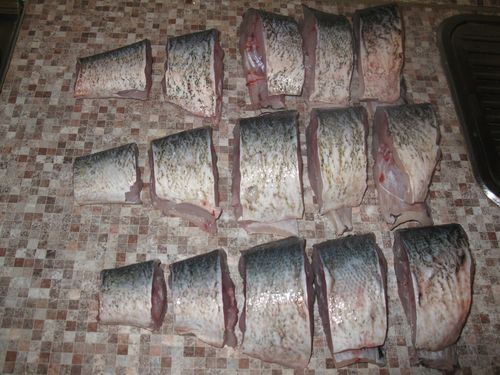 معلبات السمك