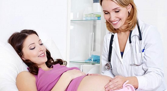 المرأة، حامل دكتوراه